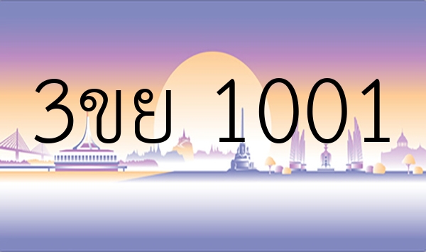 3ขย 1001